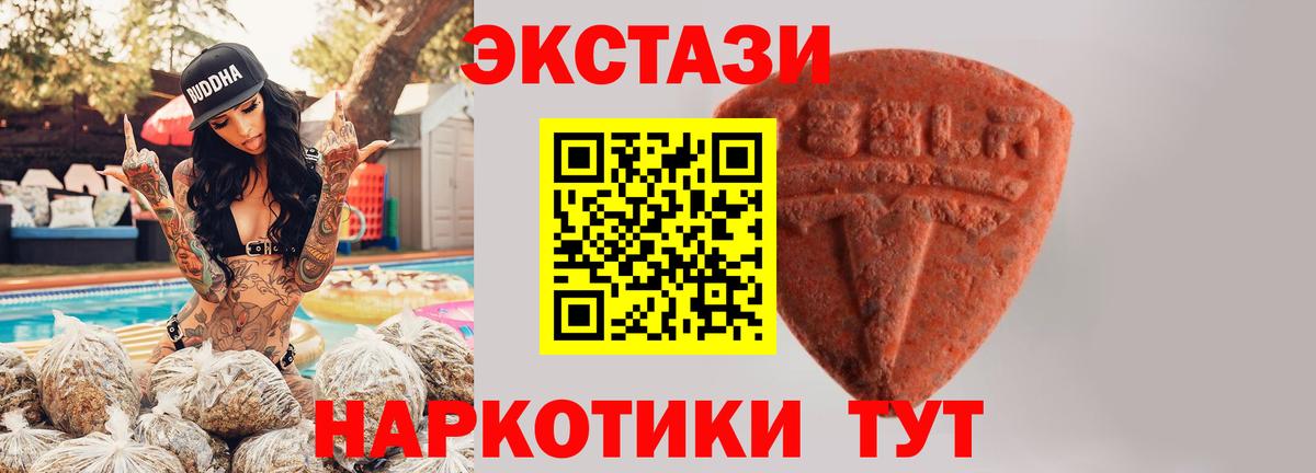Ecstasy Punisher  Экстази диски  Вход с VPN  Киселёвск 