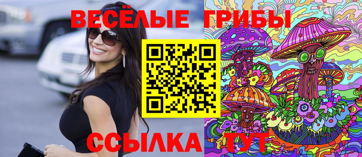 Псилоцибиновые грибы прущие грибы Киселёвск
