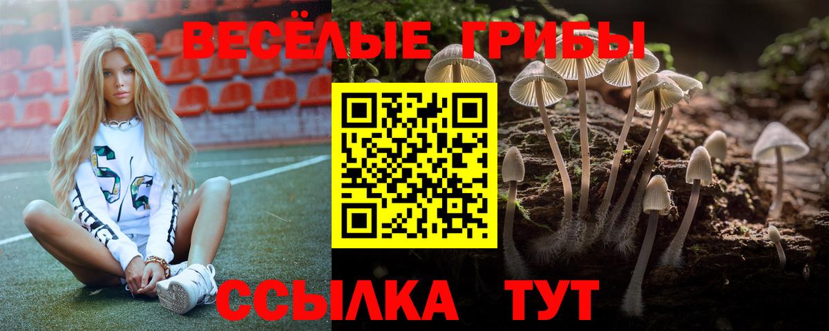 Киселёвск  Псилоцибиновые грибы прущие грибы  Вход с VPN 